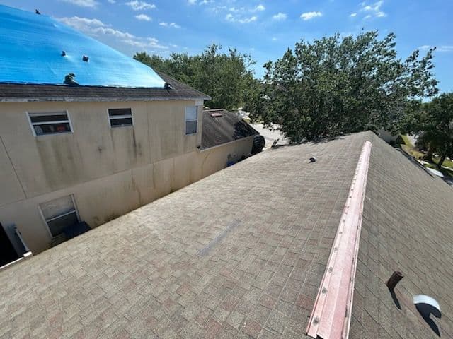 Roof Washing in Ruskin image